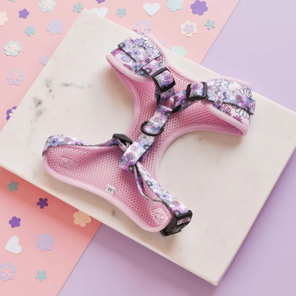 Cocopup Adjustable Harness Bundles-Pastel Flowers Adjustable Neck Harness, Lead & Collar Bundle