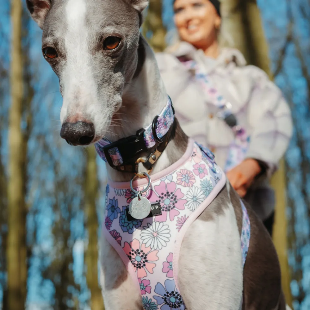 Cocopup Adjustable Harness Bundles-Pastel Flowers Adjustable Neck Harness, Lead & Collar Bundle