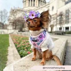 Cocopup Adjustable Neck Harnesses-Pastel Flowers Adjustable Neck HARNESS