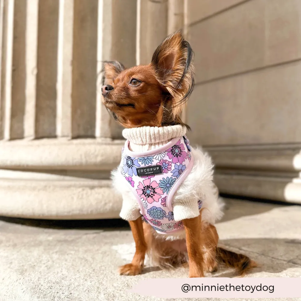 Cocopup Adjustable Harness Bundles-Pastel Flowers Adjustable Neck Harness, Lead & Collar Bundle