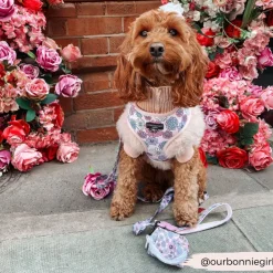 Cocopup Adjustable Neck Harnesses-Pastel Flowers Adjustable Neck HARNESS