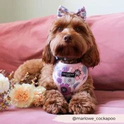 Cocopup Bow Ties-Pastel Flowers Bow Tie