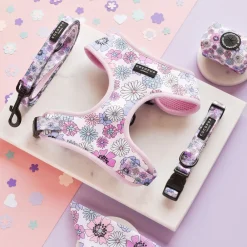 Cocopup Collars-Pastel Flowers Collar