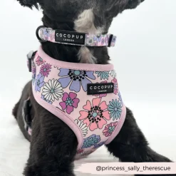 Cocopup Collars-Pastel Flowers Collar