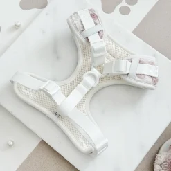 Cocopup Special Occassion Harnesses ✨ | Adjustable Neck Harnesses-Pearly Pup Adjustable Neck HARNESS