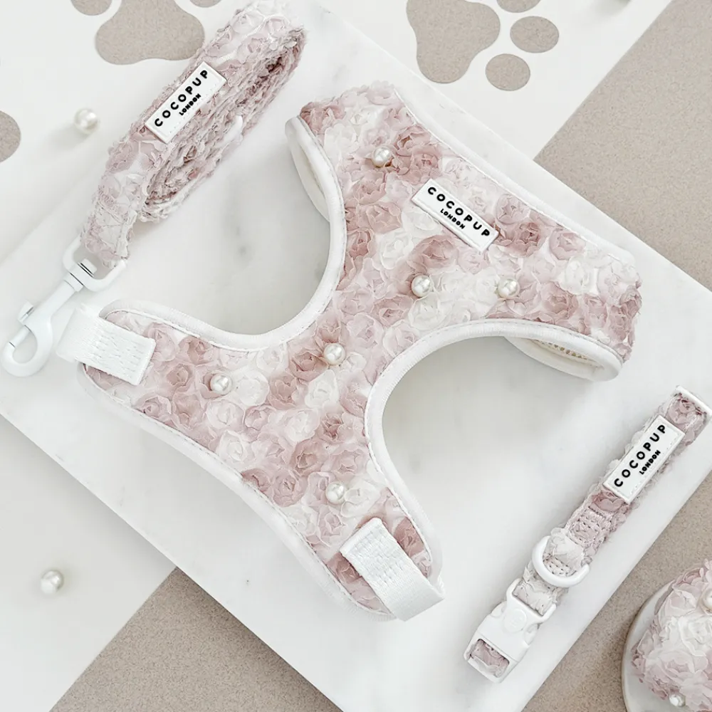Cocopup Adjustable Harness Bundles | Special Occassion Harnesses ✨-Pearly Pup Adjustable Neck Harness, Lead & Collar Bundle