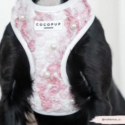 Cocopup Adjustable Harness Bundles | Special Occassion Harnesses ✨-Pearly Pup Adjustable Neck Harness, Lead & Collar Bundle