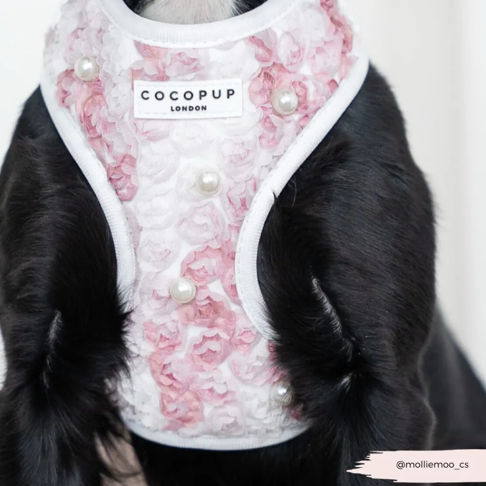 Cocopup Adjustable Harness Bundles | Special Occassion Harnesses ✨-Pearly Pup Adjustable Neck Harness, Lead & Collar Bundle