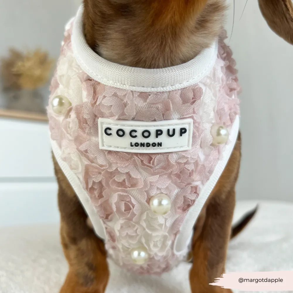 Cocopup Adjustable Harness Bundles | Special Occassion Harnesses ✨-Pearly Pup Adjustable Neck Harness, Lead & Collar Bundle