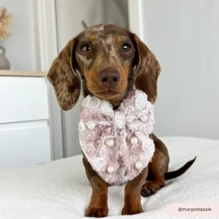 Cocopup Sailor Bow Ties-Pearly Pup Sailor Bow Tie