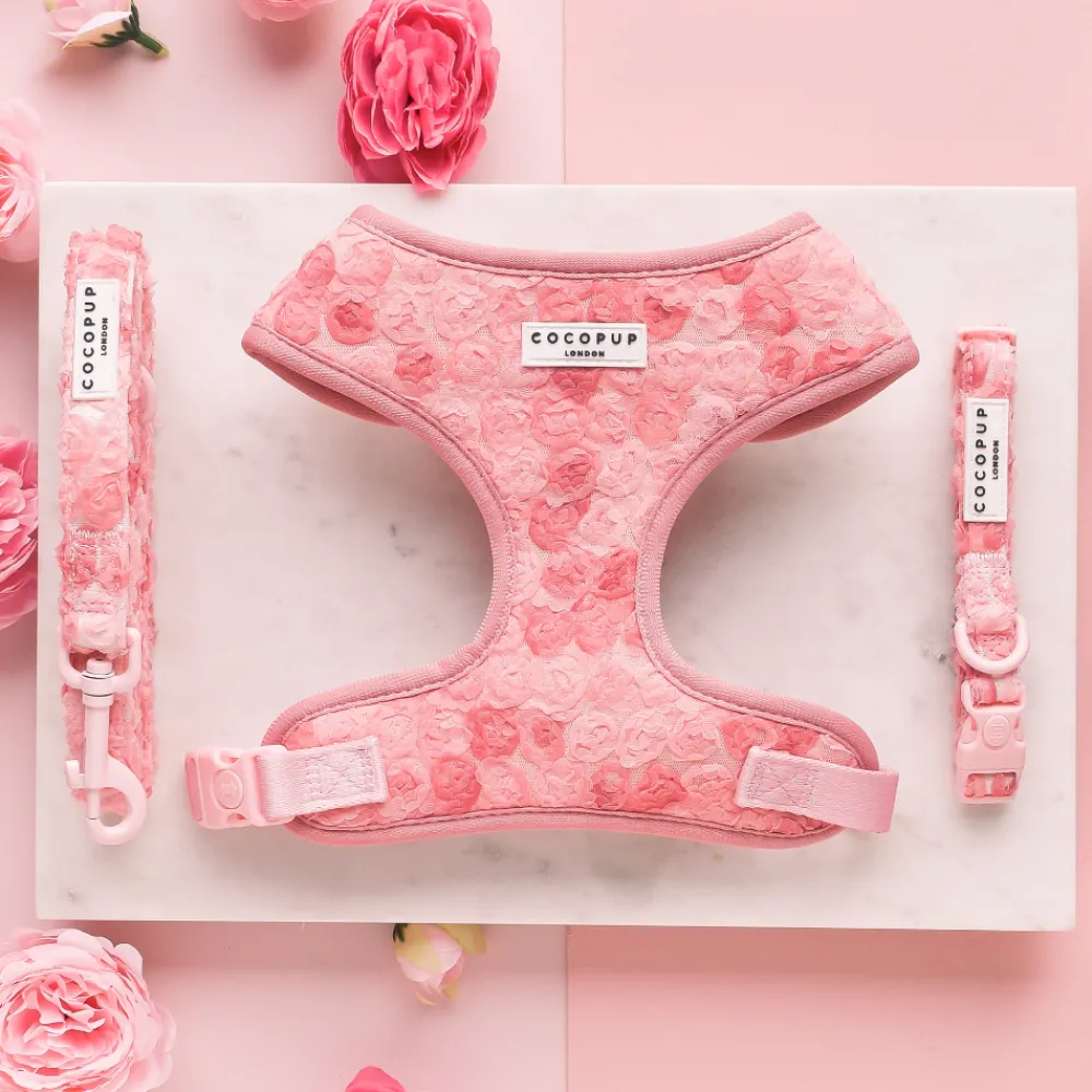 Cocopup Adjustable Harness Bundles | Special Occassion Harnesses ✨-Peony Pup Adjustable Neck Harness, Lead & Collar Bundle