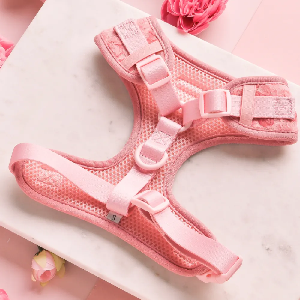 Cocopup Adjustable Neck Harnesses | Special Occassion Harnesses ✨-Peony Pup Adjustable Neck HARNESS