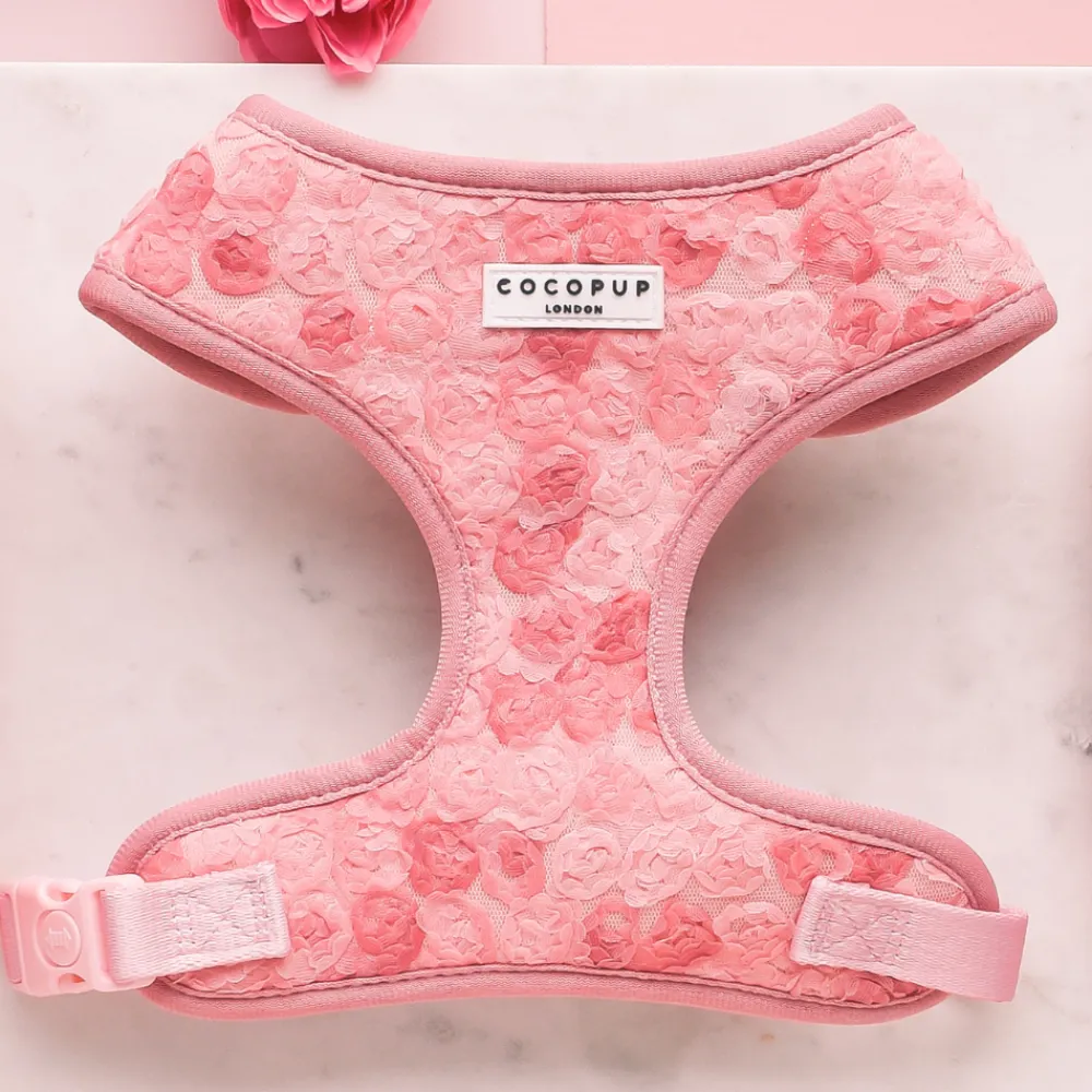 Cocopup Adjustable Harness Bundles | Special Occassion Harnesses ✨-Peony Pup Adjustable Neck Harness, Lead & Collar Bundle