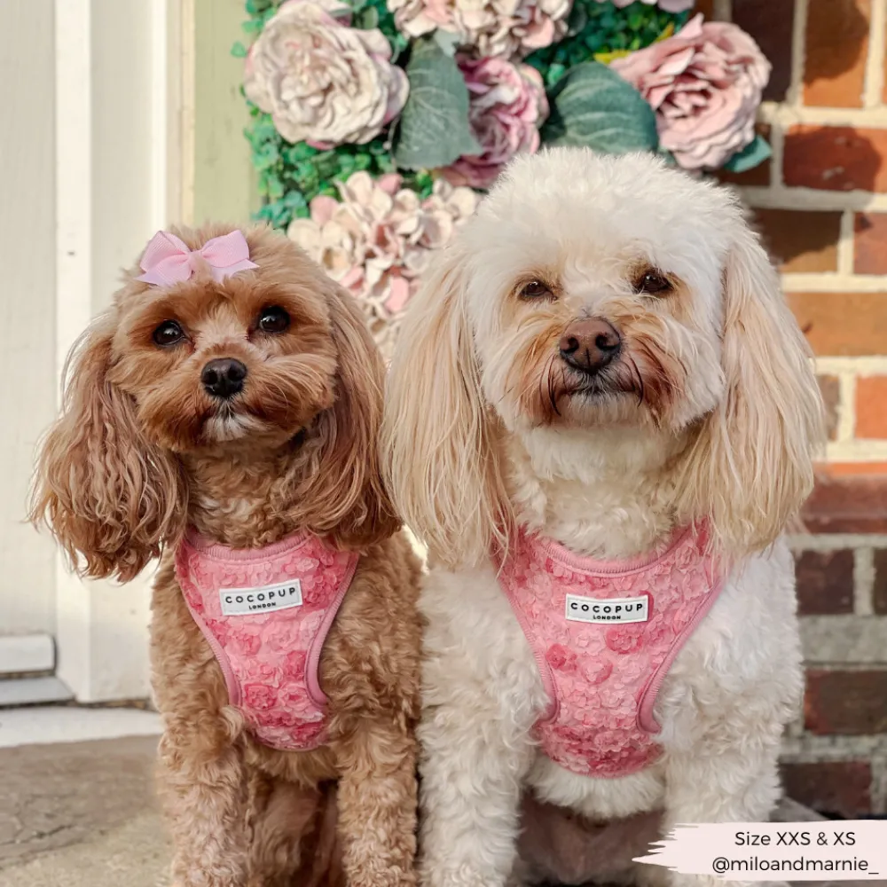 Cocopup Adjustable Neck Harnesses | Special Occassion Harnesses ✨-Peony Pup Adjustable Neck HARNESS