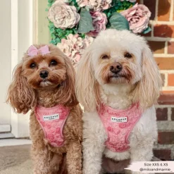 Cocopup Adjustable Harness Bundles | Special Occassion Harnesses ✨-Peony Pup Adjustable Neck Harness, Lead & Collar Bundle