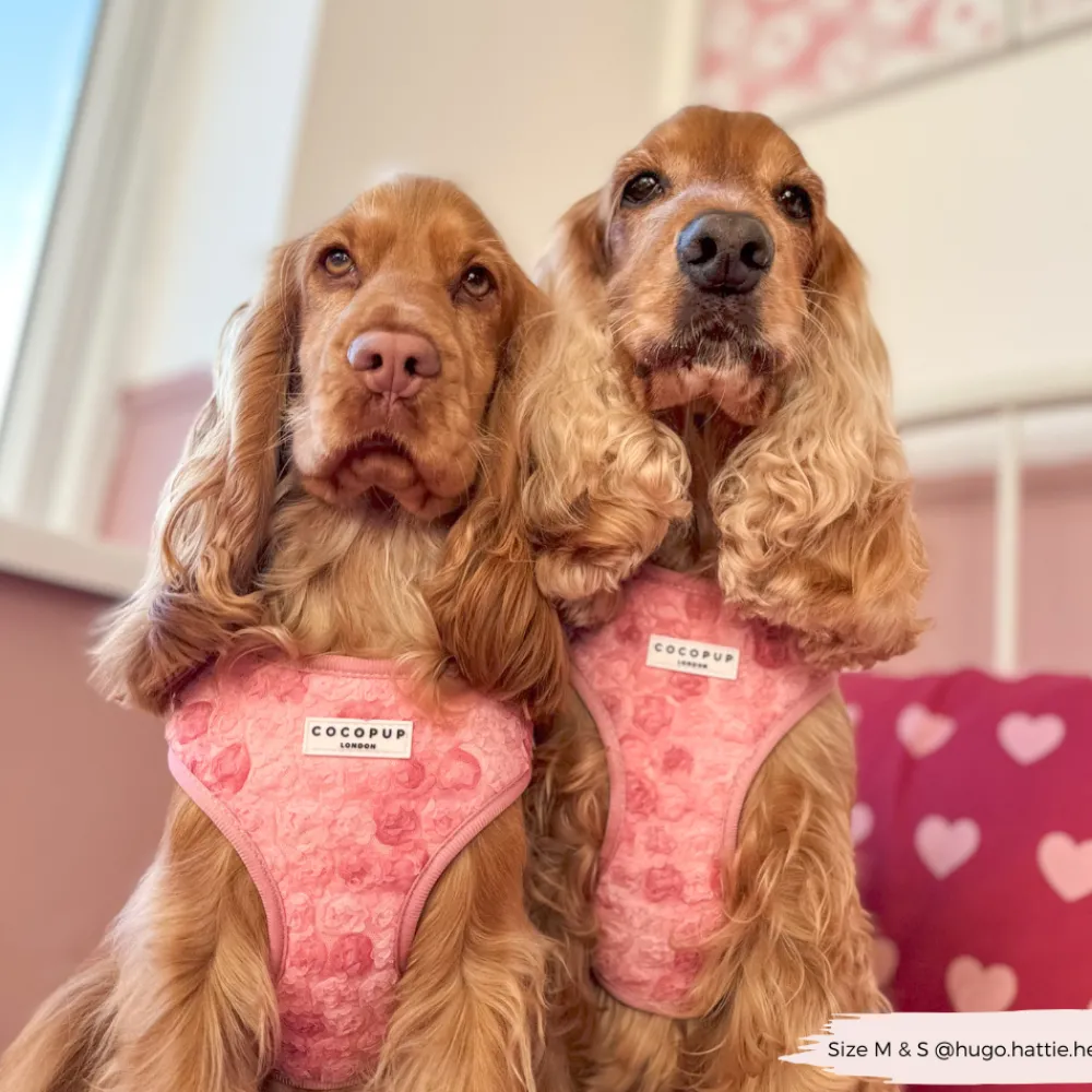 Cocopup Adjustable Neck Harnesses | Special Occassion Harnesses ✨-Peony Pup Adjustable Neck HARNESS