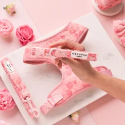 Cocopup Collars-Peony Pup COLLAR
