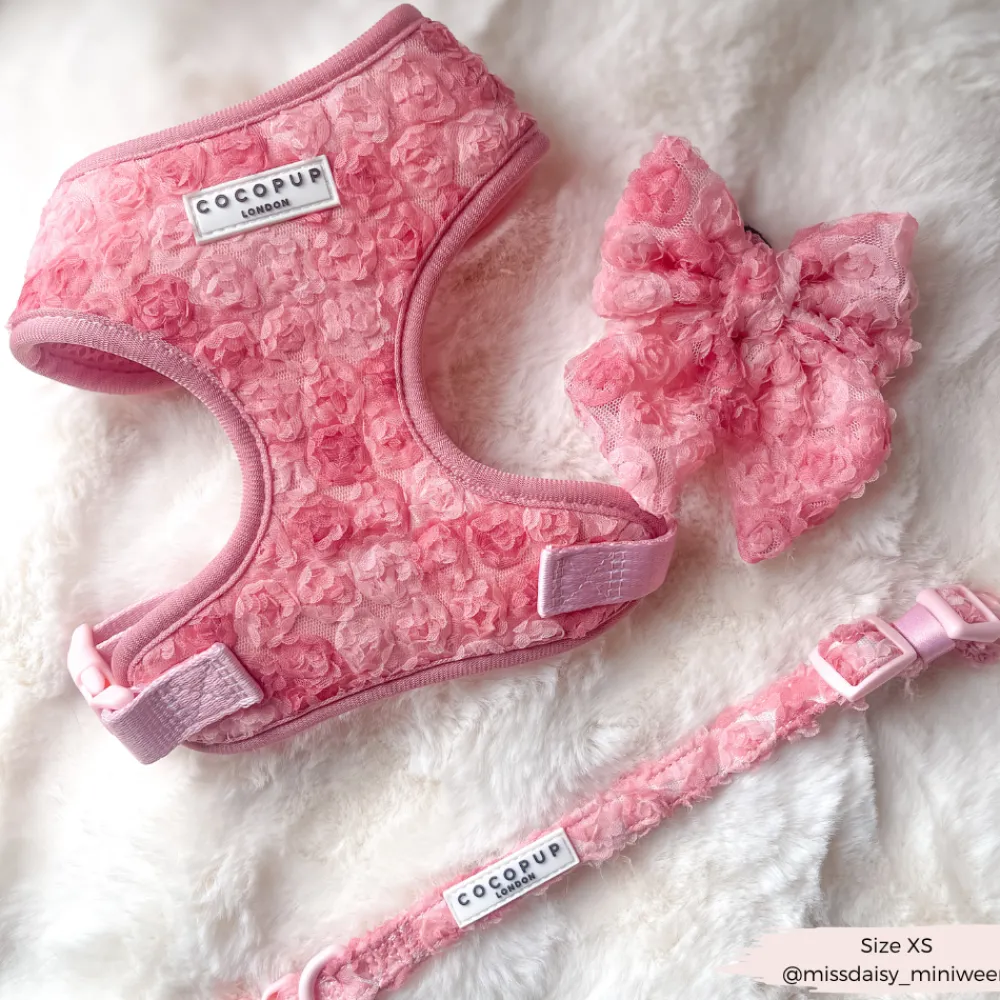 Cocopup Sailor Bow Ties-Peony Pup Sailor Bow Tie