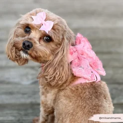 Cocopup Sailor Bow Ties-Peony Pup Sailor Bow Tie