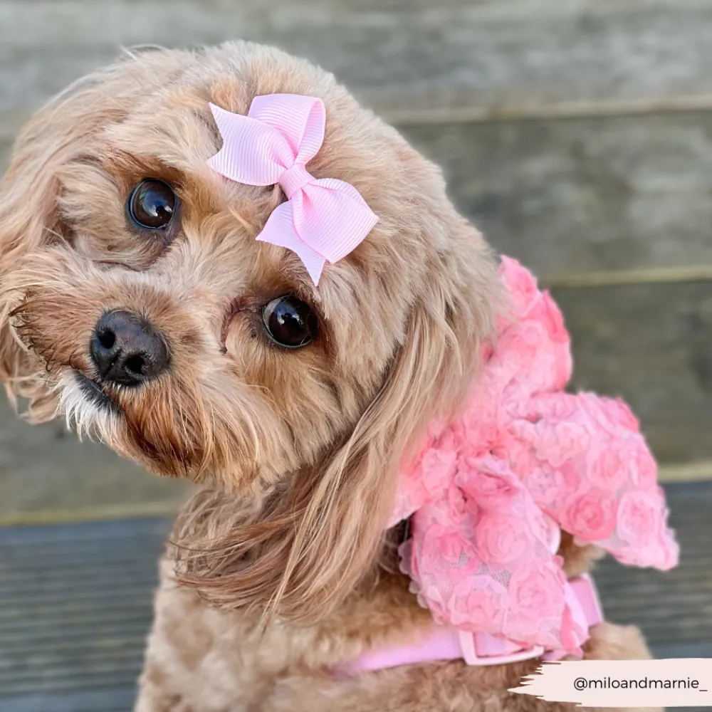 Cocopup Sailor Bow Ties-Peony Pup Sailor Bow Tie