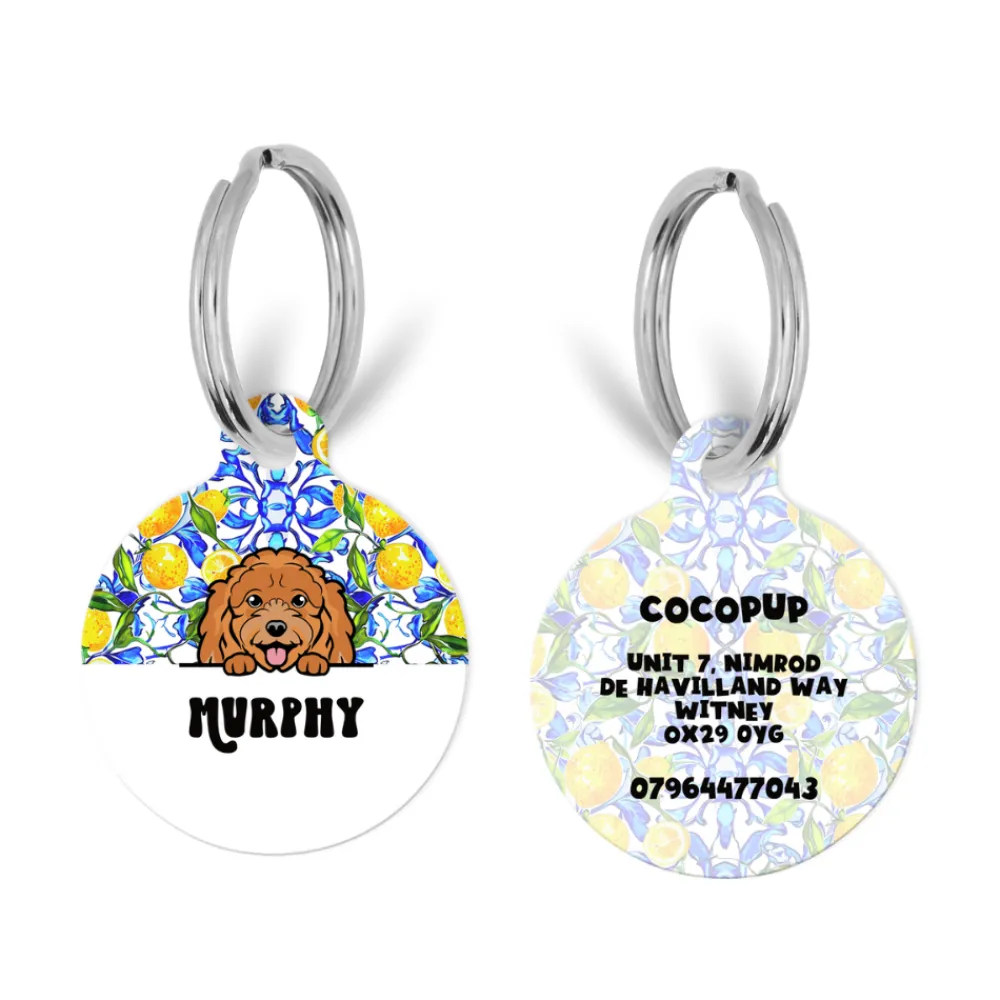 Cocopup Personalised Id Tags-Personalised Dog Cartoon ID Tag - Amalfi Lemon