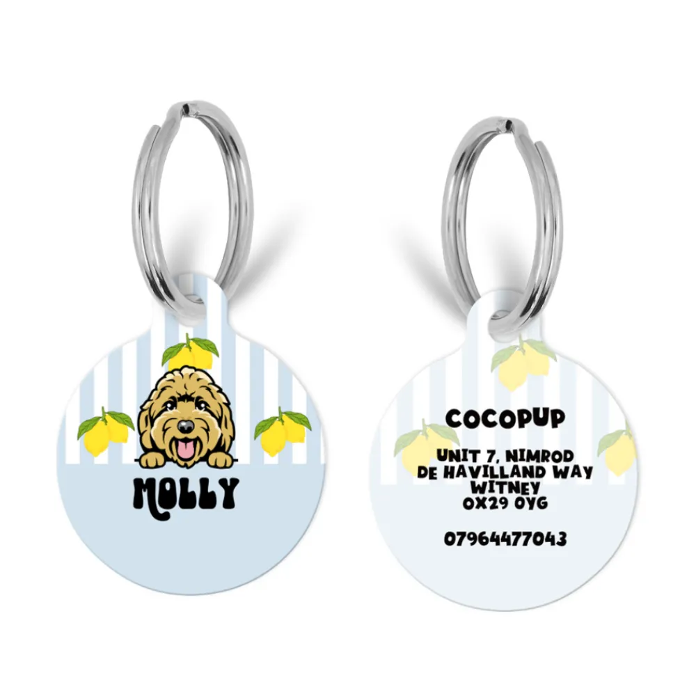 Cocopup Personalised Id Tags-Personalised Dog Cartoon ID Tag - Living La Vida Lemon