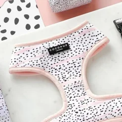 Cocopup Adjustable Neck Harnesses-Pink Dalmatian Adjustable Neck HARNESS