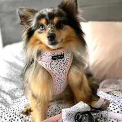 Cocopup Adjustable Neck Harnesses-Pink Dalmatian Adjustable Neck HARNESS