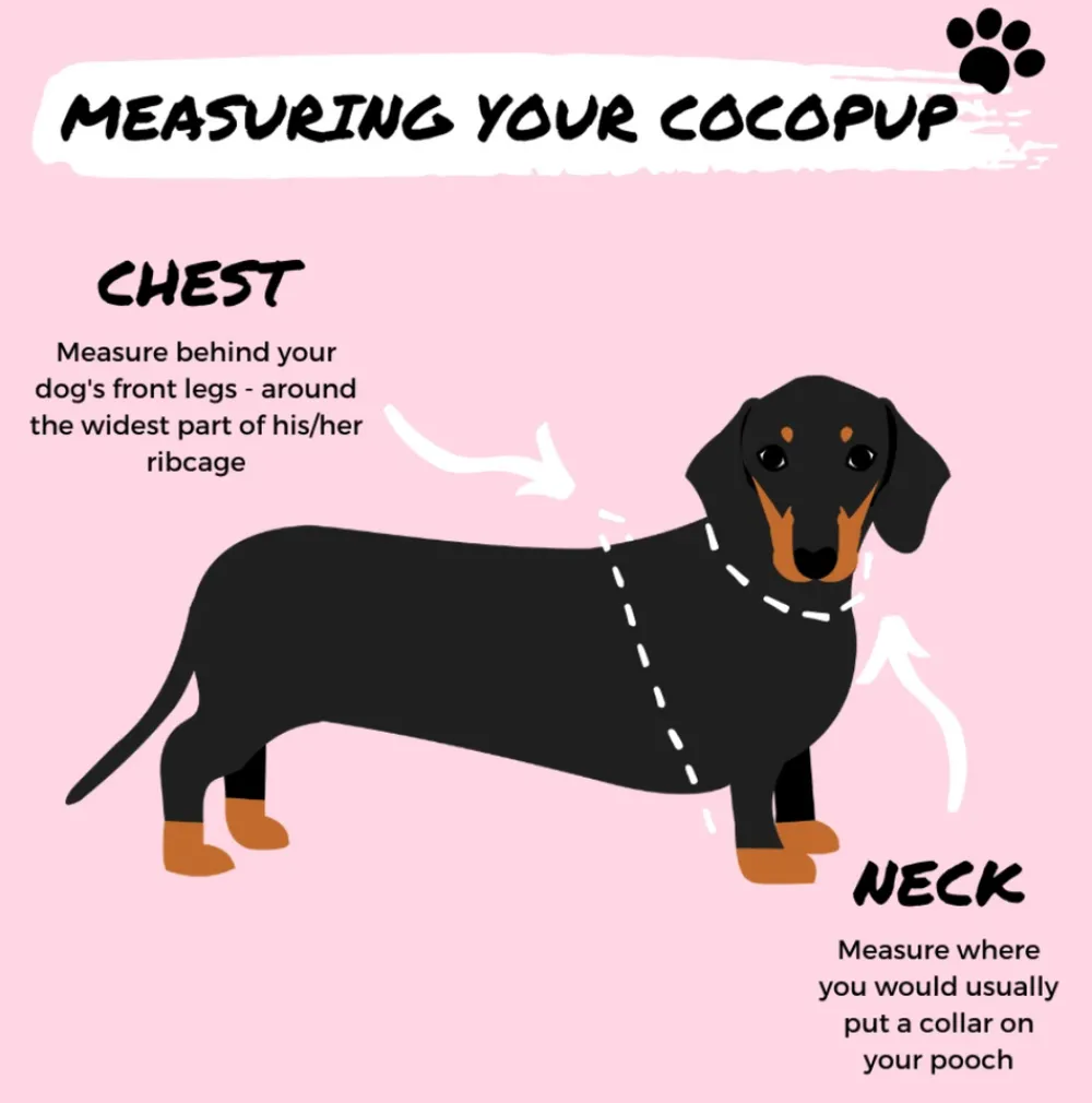 Cocopup Adjustable Harness Bundles-Pink Dalmatian Adjustable Neck Harness, Lead & Collar Bundle