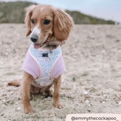 Cocopup Adjustable Neck Harnesses-Pink Dalmatian Adjustable Neck HARNESS