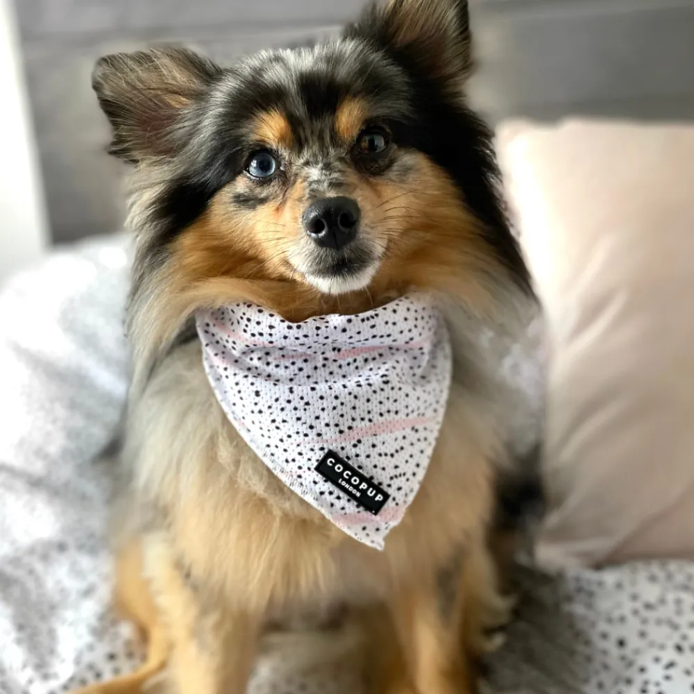 Cocopup Bandanas-Pink Dalmatian Bandana
