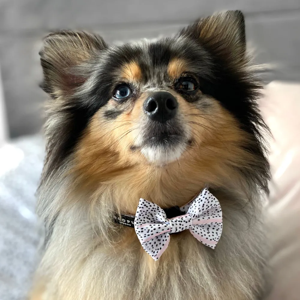 Cocopup Bow Ties-Pink Dalmatian Bow Tie