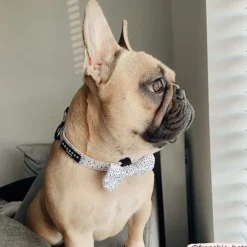 Cocopup Bow Ties-Pink Dalmatian Bow Tie