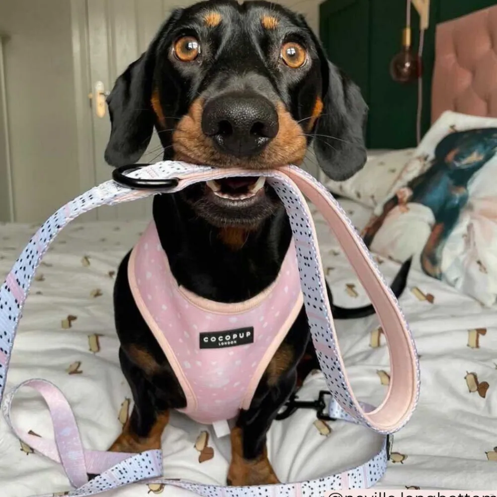 Cocopup Leads-Pink Dalmatian Lead