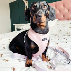 Cocopup Leads-Pink Dalmatian Lead