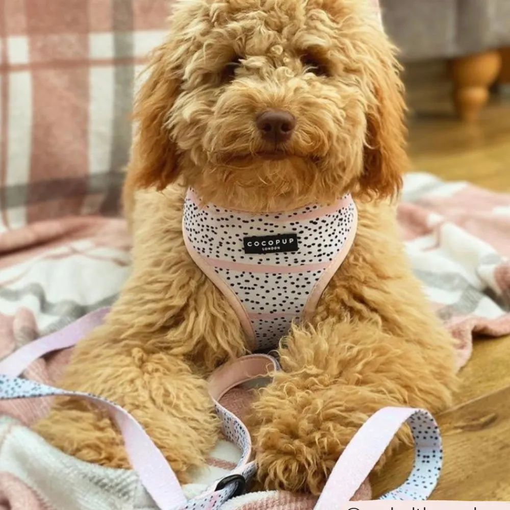 Cocopup Leads-Pink Dalmatian Lead