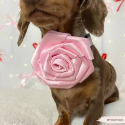 Cocopup Collar Flowers-Pink Rose Collar Flower