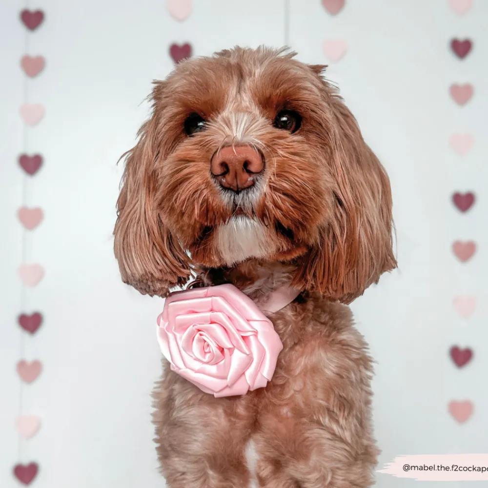 Cocopup Collar Flowers-Pink Rose Collar Flower