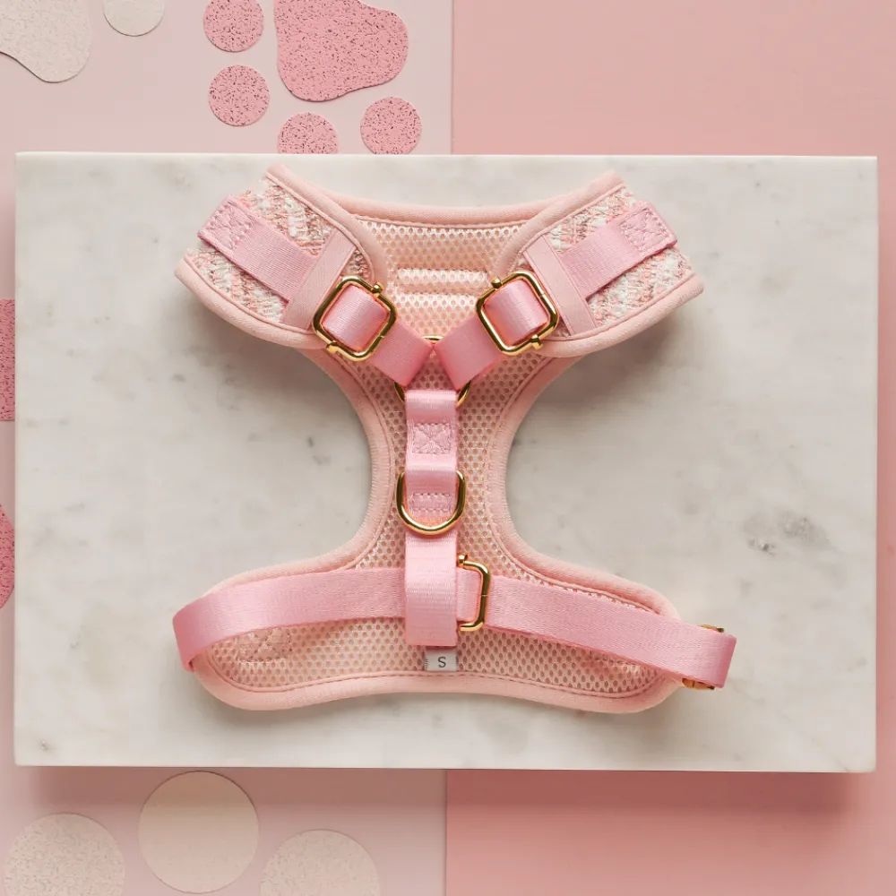 Cocopup Adjustable Harness Bundles | Special Occassion Harnesses ✨-Pink Textured Tweed Adjustable Neck Harness, Lead & Collar Bundle