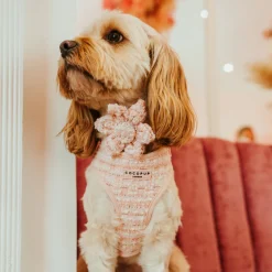 Cocopup Collar Flowers-Pink Textured Tweed Collar Flower