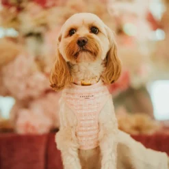 Cocopup Collars-Pink Textured Tweed COLLAR