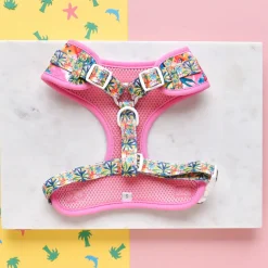 Cocopup Adjustable Neck Harnesses-Portofino Pup Adjustable Neck HARNESS