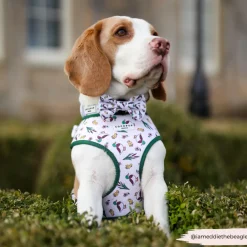 Cocopup Adjustable Neck Harnesses-Puddle Pup Adjustable Neck HARNESS