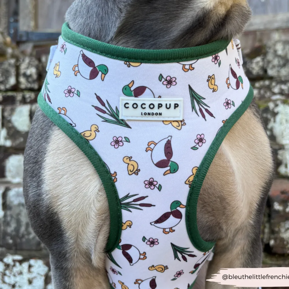 Cocopup Adjustable Neck Harnesses-Puddle Pup Adjustable Neck HARNESS