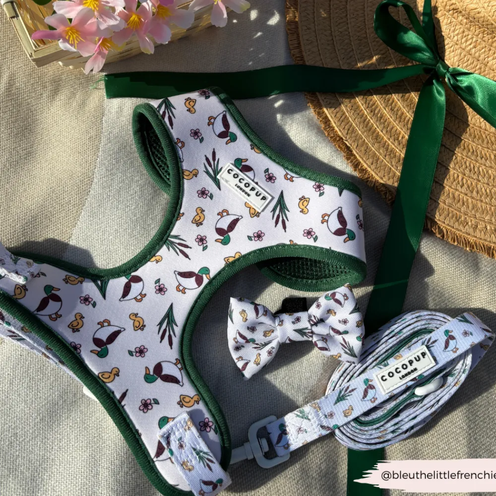 Cocopup Adjustable Neck Harnesses-Puddle Pup Adjustable Neck HARNESS