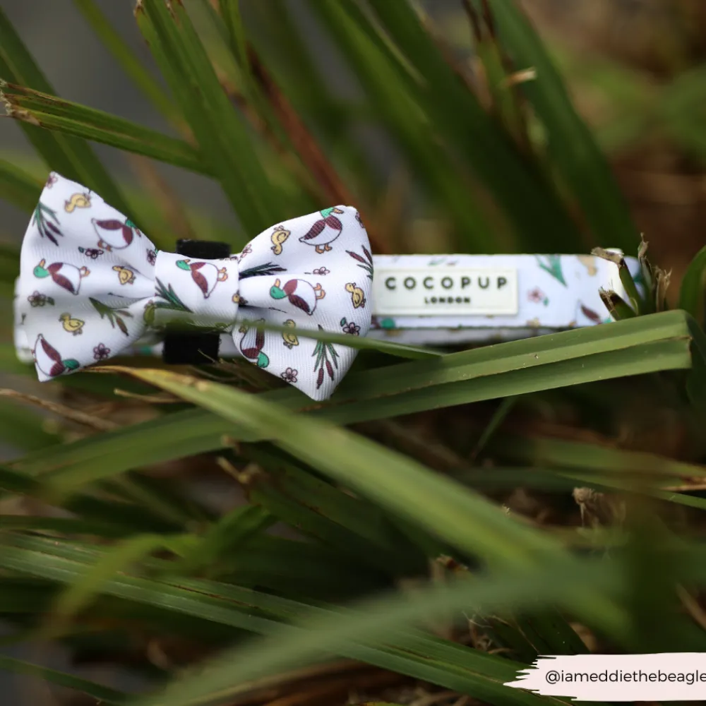 Cocopup Bow Ties-Puddle Pup Bow Tie