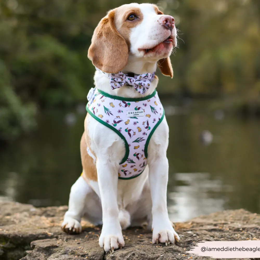 Cocopup Bow Ties-Puddle Pup Bow Tie