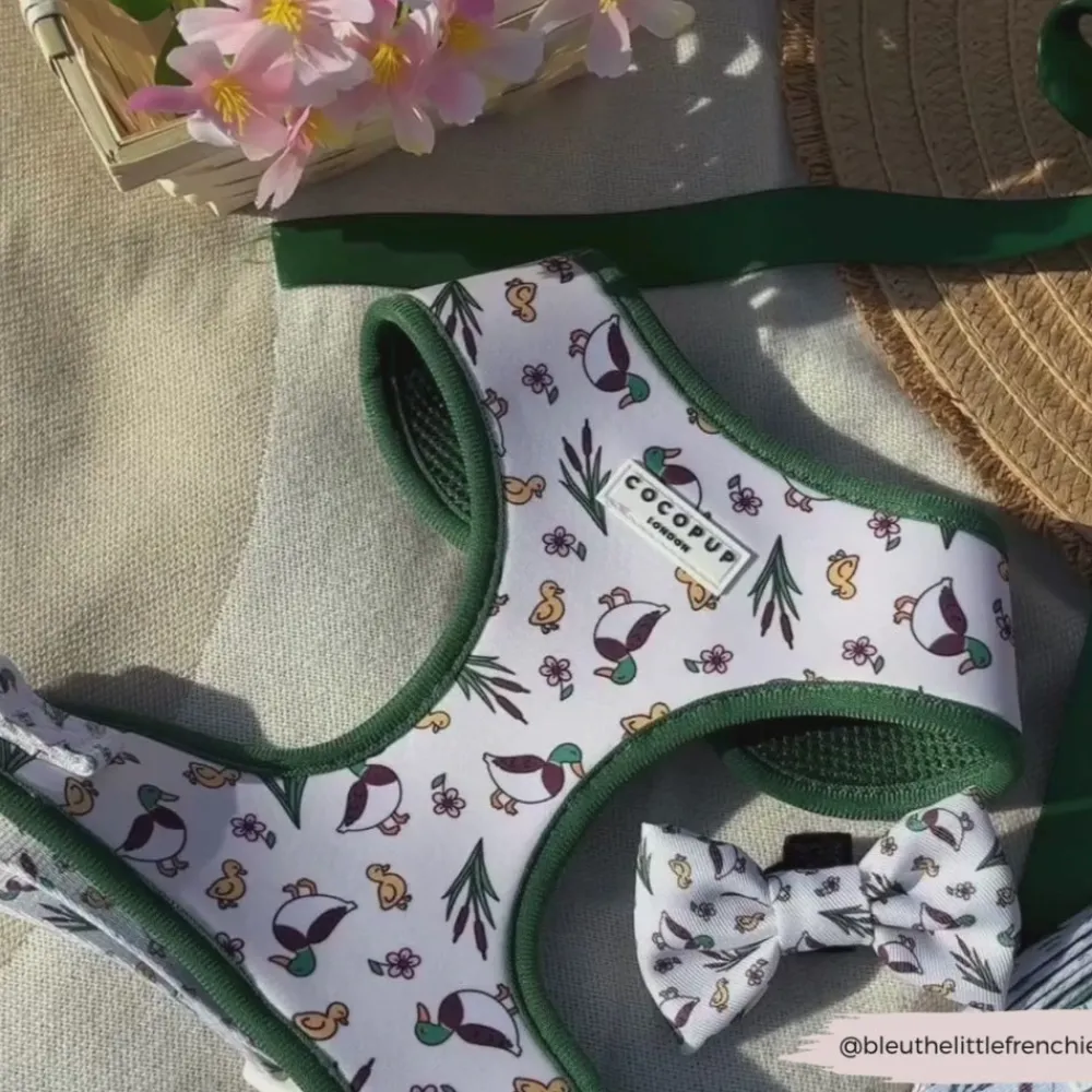 Cocopup Bow Ties-Puddle Pup Bow Tie