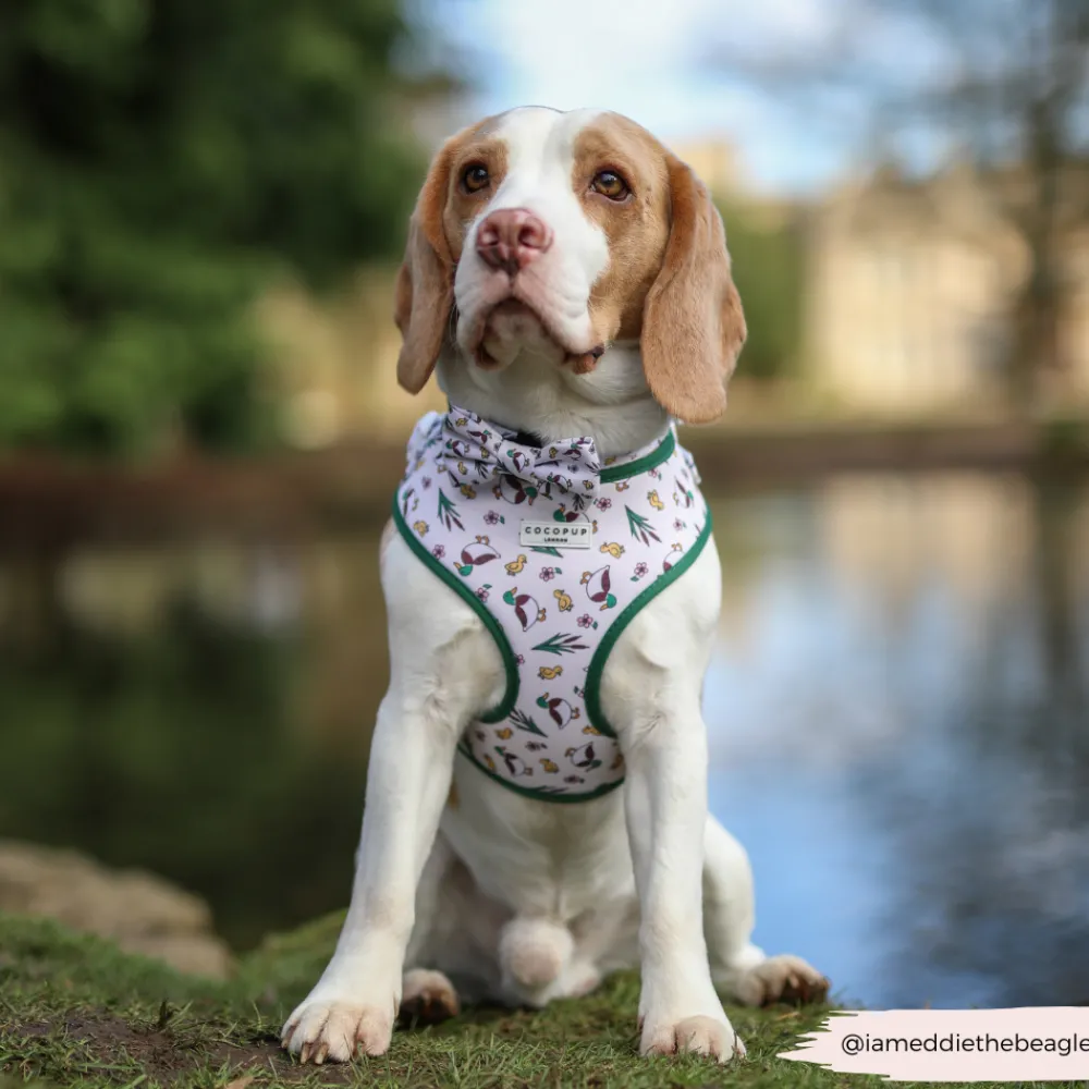 Cocopup Bow Ties-Puddle Pup Bow Tie