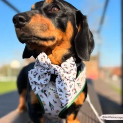 Cocopup Sailor Bow Ties-Puddle Pup Sailor Bow Tie